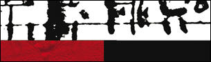 Baumhauer Webdesign für Künstler