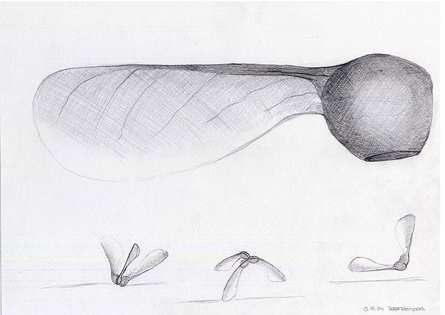 Naturstudie