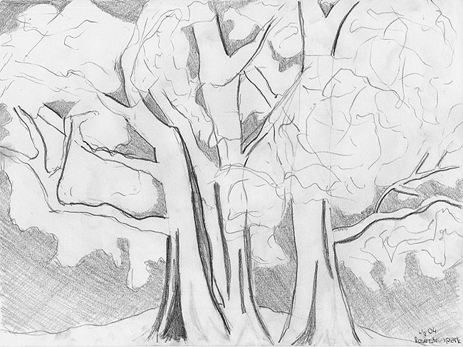 Naturstudie